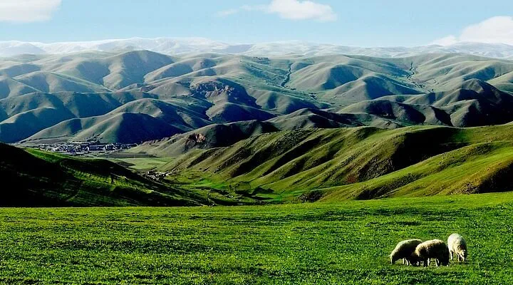 Inner Mongolia Grasslands